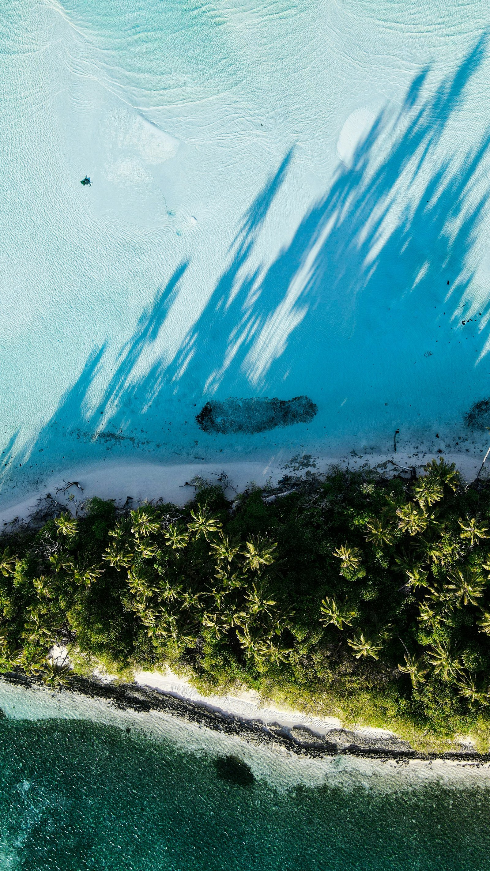 Turquoise water and green island forms across the Maldives